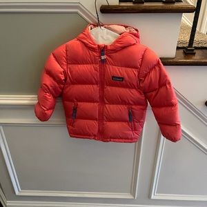 Girls 4T Patagonia Puffer Coat